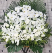 帛事花籃#B9｜ 帛事花籃 ｜帛事花牌・帛事花圈・帛事花店 即日送達｜香港帛事花店